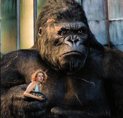 What You See Film Media Literacy Clearinghouse